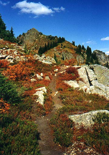 Trail along ridge of Alta Mountain