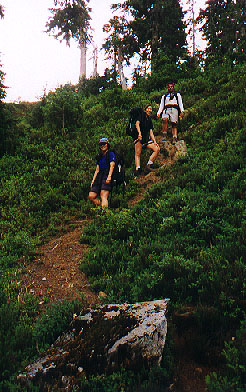 Moose, Bingo and Chris starting down the climber's path