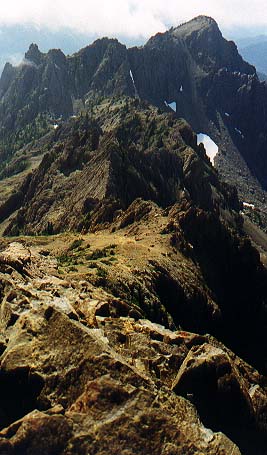 Mt. Washington-Mt. Ellinor ridge