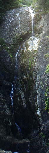Waterfall near Mt. Washington trailhead