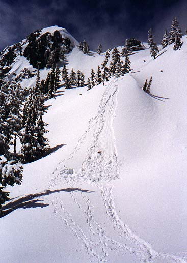 Avalanche path
