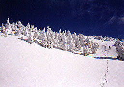 Open summit snowfield on Mt. Persis