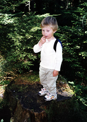 Bryden stopping for a gummi worm snack on a stump along the way