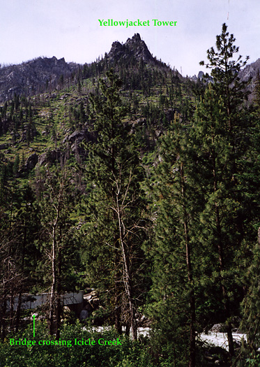 Yellowjacket Tower from Icicle River Road